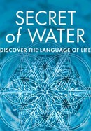 Secret of Water poster image