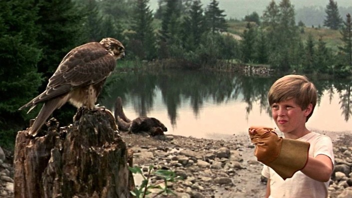 My Side of the Mountain | Rotten Tomatoes