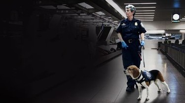 To Catch a Smuggler: Secret Stash: Season 5 | Rotten Tomatoes