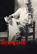 Seethakaathi poster image