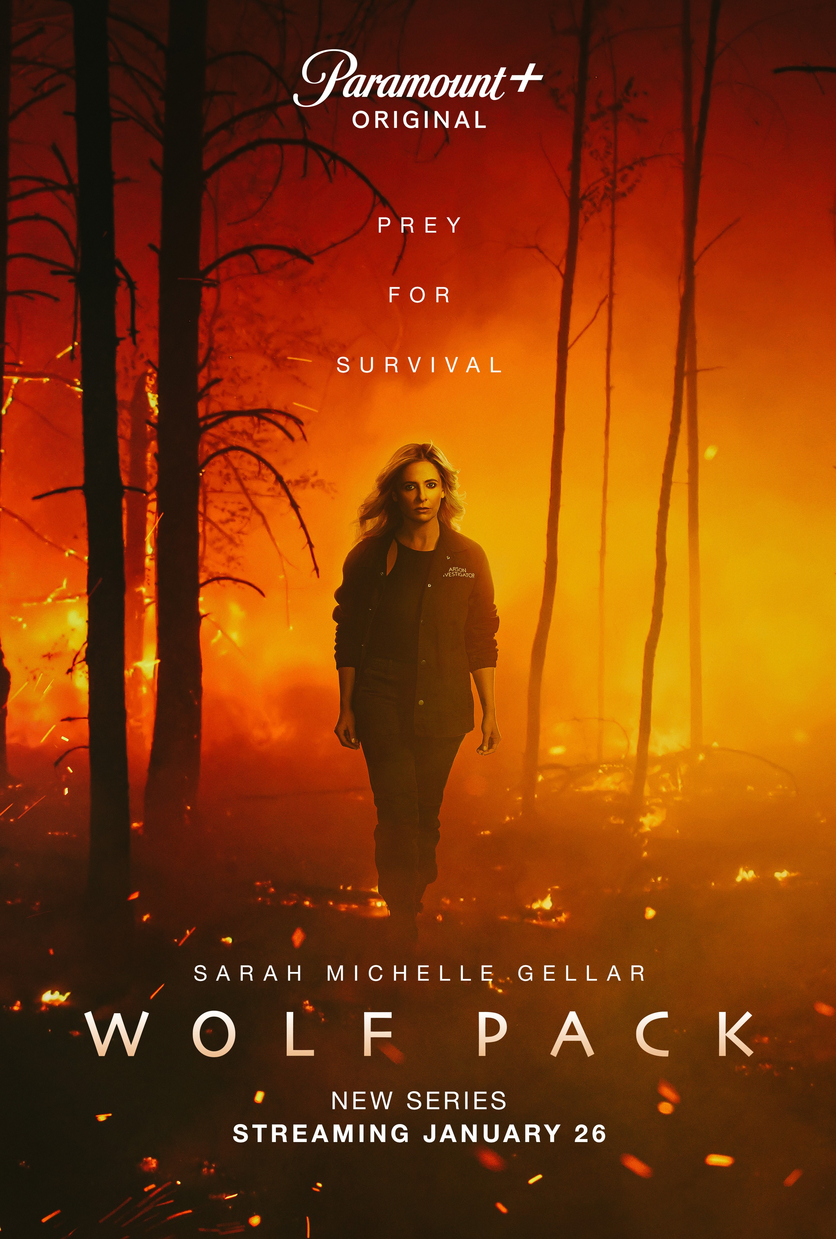 Wolf Pack Season 1 | Rotten Tomatoes