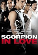 Scorpion in Love poster image