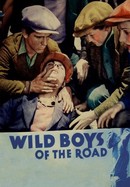Wild Boys of the Road poster image