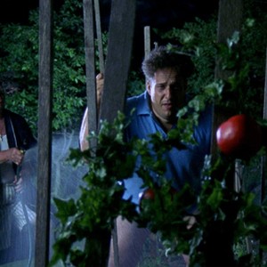 A scene from the movie "Chooch." photo 1