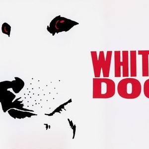 "White Dog photo 9"