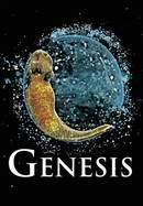 Genesis poster image
