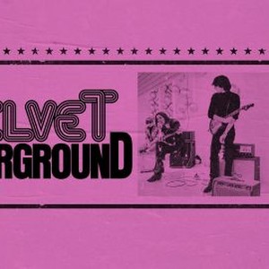 The Velvet Underground photo 14