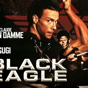 Black Eagle photo 1