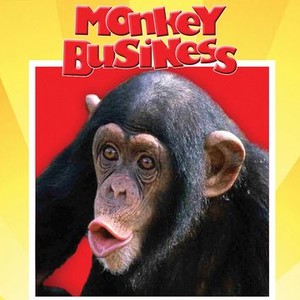 "Monkey Business photo 1"