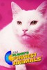 Poster for