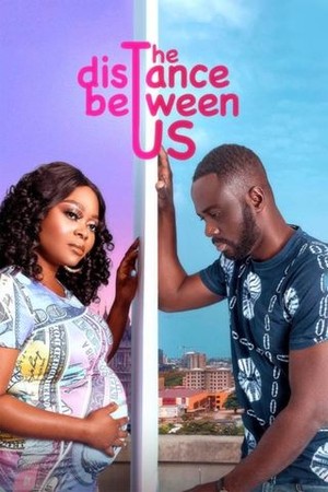 The Distance Between Us poster