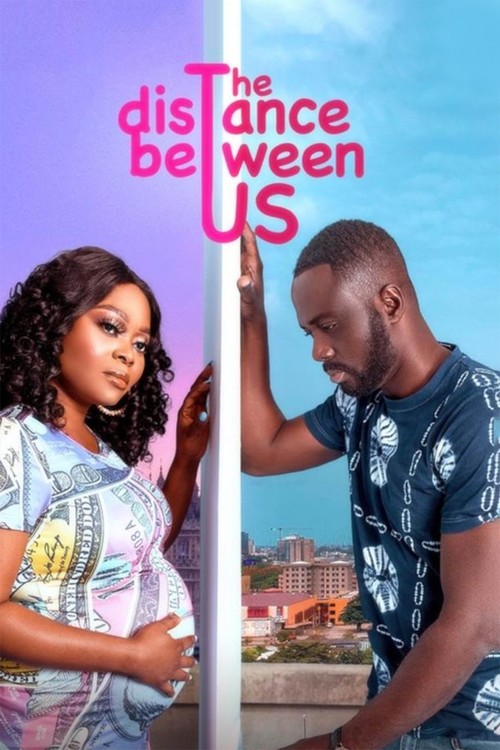 The Distance Between Us poster