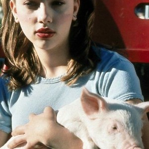 My Brother The Pig (2000) photo 7