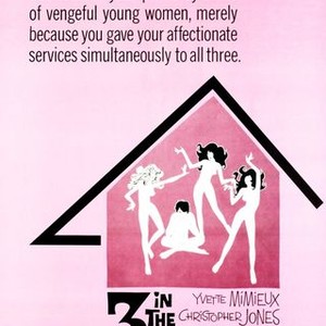 Three in the Attic photo 7