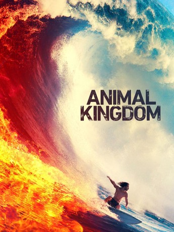 Animal kingdom season top 4 free on prime