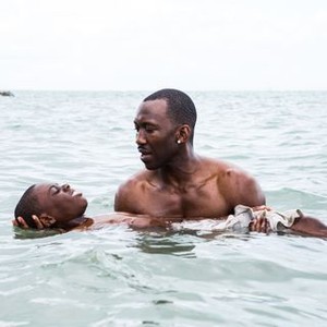 Moonlight (2016) - Rotten Tomatoes