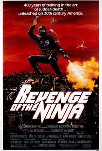 Watch trailer for Revenge of the Ninja