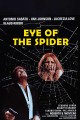 Eye of the Spider