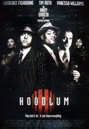 Hoodlum poster image