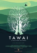 Tawai: A Voice From the Forest poster image