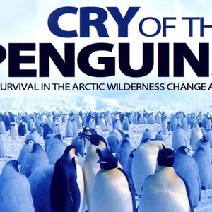 "Cry of the Penguins photo 7"