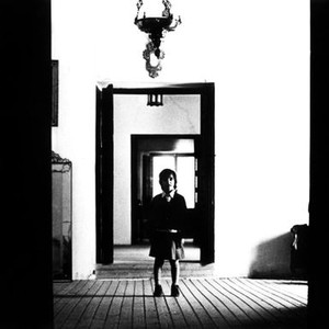 THE SPIRIT OF THE BEEHIVE, (aka EL ESPIRITU DE LA COLMENA), Ana Torrent, 1973