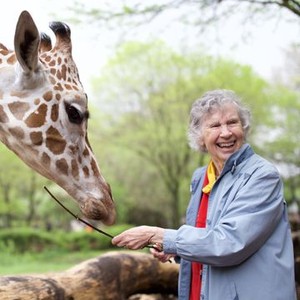 The Woman Who Loves Giraffes (2018) photo 7