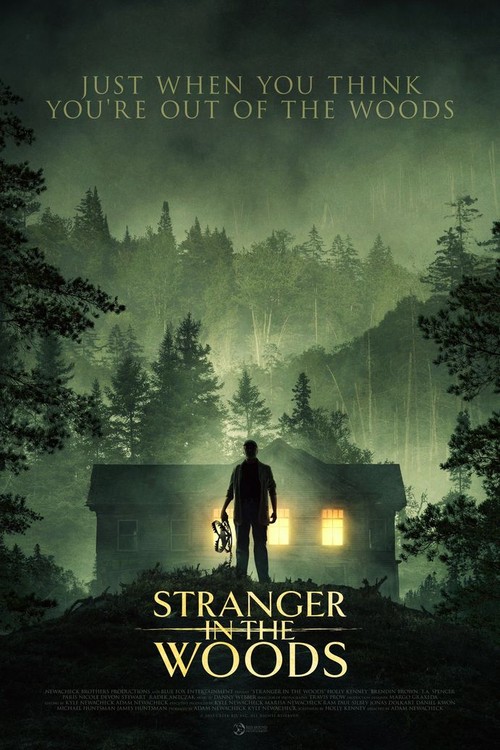 Stranger in the Woods poster