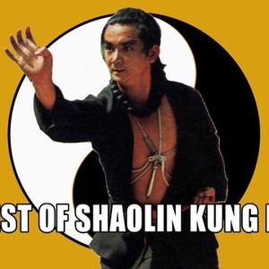 "The Best of Shaolin Kung Fu photo 4"