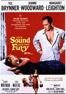 The Sound and the Fury poster image