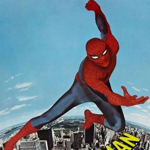 The Amazing Spider-Man photo 9