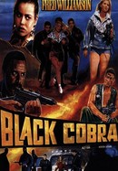 The Black Cobra poster image