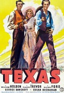 Texas poster image