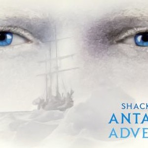 Shackleton's Antarctic Adventure photo 4