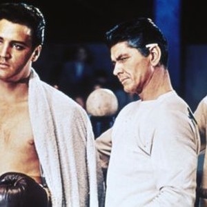 Kid Galahad (1962) photo 11