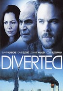 Diverted poster image