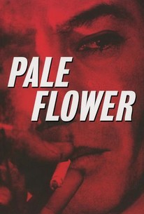 Pale Flower poster
