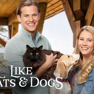 Like cats clearance & dogs