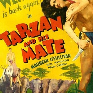 Tarzan and His Mate (1934) photo 9