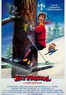 Ski Patrol poster image