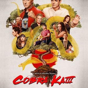 Connecticut teen stars in Netflix show 'Cobra Kai,' based on 'The