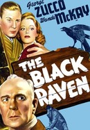 The Black Raven poster image