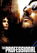The Professional poster image
