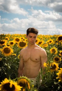 movie reviews of sunflower