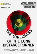 The Loneliness of the Long Distance Runner poster image