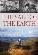 The Salt of the Earth poster image