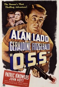 Poster for O.S.S.