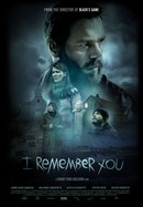 I Remember You poster image