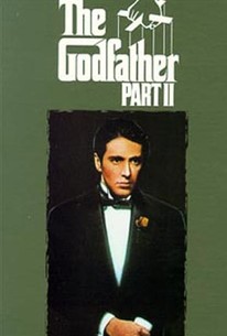 the godfather 2 plot