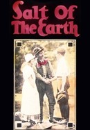 Salt of the Earth poster image
